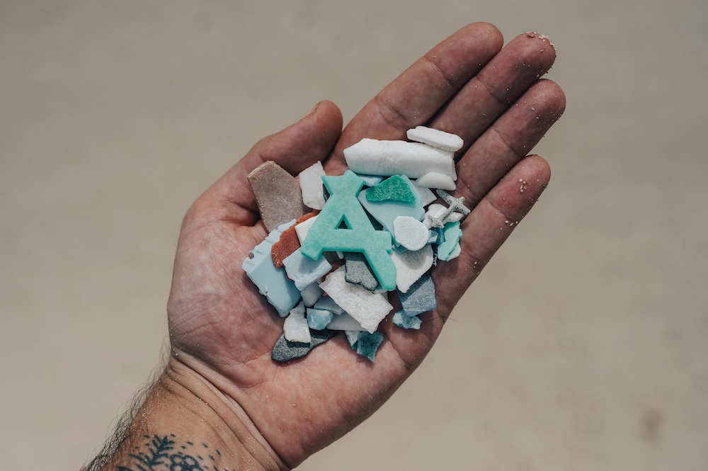 Mikroplastik Gehirn